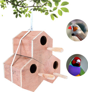 cribfactory 3 Hexagon Breeding Box for Finches and Gouldian | HIGH
