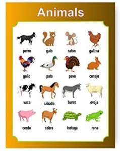 Photojaanic Animals Posters for Kids Learning, Kindergarten | Kids Learning  - Posters/Charts Paper Print Price in India - Buy Photojaanic Animals  Posters for Kids Learning, Kindergarten | Kids Learning - Posters/Charts  Paper