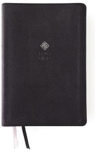 NIV, Men's Devotional Bible (By Men, for Men), Large Print, Leathersoft ...
