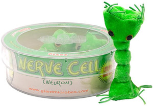giant microbes neuron