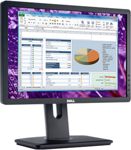 DELL 19 inch WXGA+ LED Backlit TN Panel 