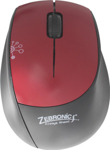 Zebronics whale hotsell