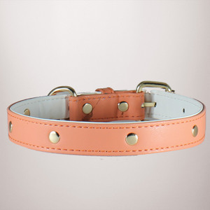 peach dog collar