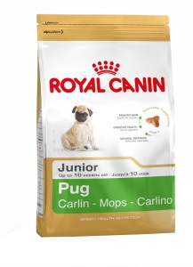 royal canin pug junior food