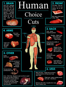 Human Choice Cuts Paper Print Educational Posters In India Buy Art Film Design Movie Music Nature And Educational Paintings Wallpapers At Flipkart Com