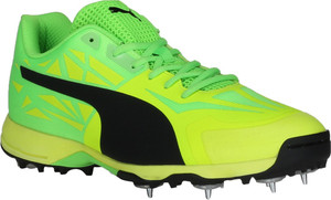 puma evospeed 1.5 cricket shoes