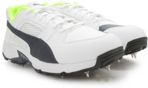 PUMA Team Full Spike Men Cricket Shoes 