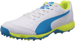 puma evospeed 3.4 cricket shoes