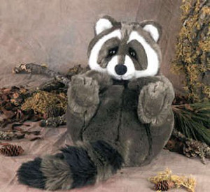 dakin raccoon