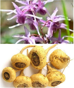 Zyrex Horny Goat Weed With Maca Root Tablets Tablets Pack Price In