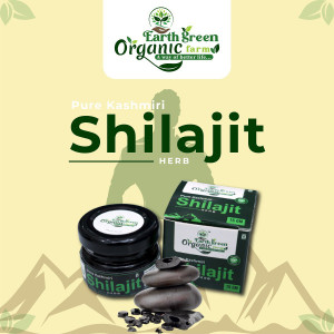 Shilajit Benefits for Cardiovascular Disease