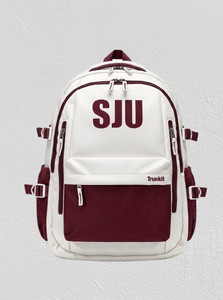 Shopsy Trunkit Kawaii Laptop Backpack Maroon - Image 1