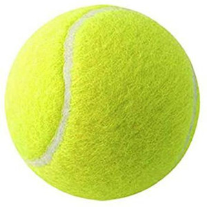Heavy Tennis Ball Cricket Ball (Pack of 12)