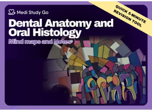 MEDI STUDY GO Dental Anatomy and Dental Histology Mind maps (Quick 5 ...