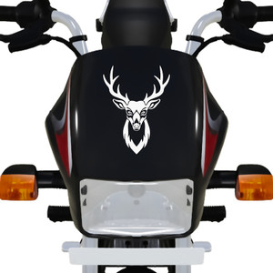 Bike 2024 head sticker
