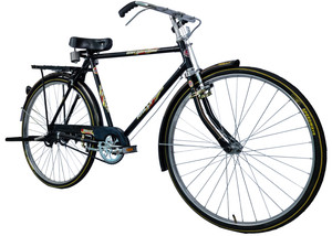 Ralley Gold 28T Vintage/Desi Men's Bicycle (22 Inch Frame) with Carrier