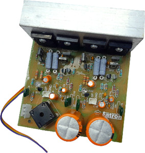 PROZL 250 watt amplifier board with inbuilt power supply Electronic