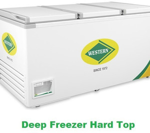 ifb deep freezer