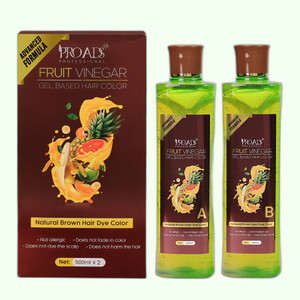 PRO ADS Natural Brown Fruit Vinegar Hair Gel Color 500mlx2_C_132 ...