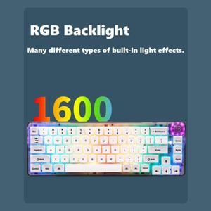 Lyla Ck Mechanical Keyboard Kit Rgb Tm Keys Ergonomic Hot Swap