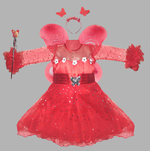 Pari dress with wings for baby girl store