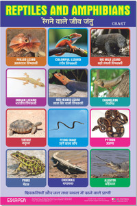 SADAFAL Hindi Varnamala Chart for Kids learning (11.5 x 17.5 inches