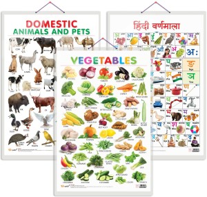 Set of 3 Vegetables, Domestic Animals and Pets and Hindi Varnamala Early  Learning Educational Charts for Kids | 20