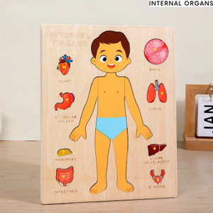 BUY SURETY Wooden Human Body Anatomy Montessori Puzzle Human Body ...