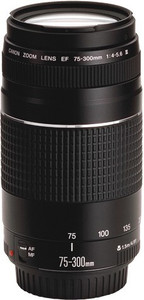 CANON ZOOM LENS EF 75-300㎜1:4-5.6Ⅲ -original-imahkz95gykzxhzf.jpeg