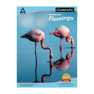Shopsy Classmate Longbook A4 Notebook 240 Pages - Image 1