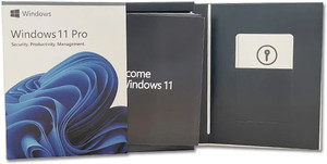 MICROSOFT Windows 11 Professional FPP USB 3.0 Retail Box Pack English ...