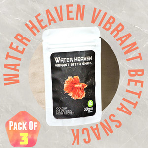 Betta snacks discount