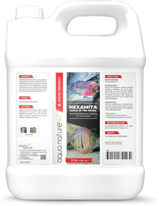 Image showcasing Aquanature Hexamita Hole in The Head Discus & Cichlid Aquarium Fish ...