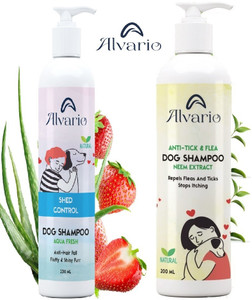 Best Natural Flea Shampoos for Dogs: Safe Plant-Based Picks