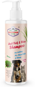 5 Best Cat Flea Shampoos: Expert Review & Picks - Cat Flea Allergy Shampoo With Eucalyptus