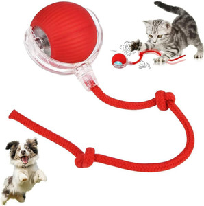 decorvaiz Silicone, Plastic Ball For Dog & Cat - Image 6