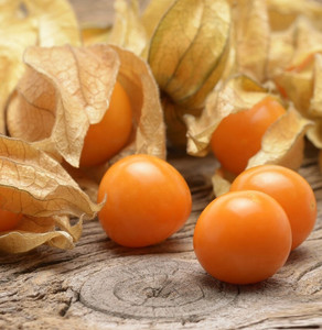 QALANDAR Cherry Husk Cape Gooseberry Seed Price In India Buy qalandar-cherry-husk-cape-gooseberry-seed-price-in-india-buy
