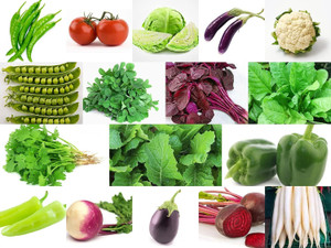 CRGO Winter Season Vegetable Seeds Combo of 19 Varieties For Your