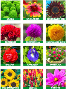Gardenersbud Grow And Flower Combo – Organic Liquid Fertilizer For All Plants (Slow Release)