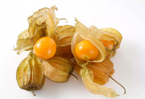 QALANDAR Cape Gooseberry Goldenberry Physalis Seed Price In India Buy qalandar-cape-gooseberry-goldenberry-physalis-seed-price-in-india-buy