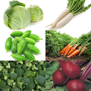 ibains Rainy season vegetable seeds combo Seed Price in India - Buy