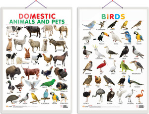 Set of 2 Domestic Animals and Pets and Birds Early Learning Educational ...