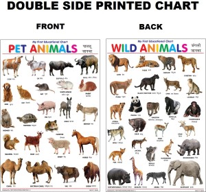 Both Side Printed Pet and Wild Animals Charts for Kids | Learn about Pet  and Wild Animals at Home or School with Educational Wall Chart for  Children| ( 50 X 75 CMS)