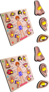 cktech Body Parts Wooden Jigsaw Preschool Playgroup Educational Puzzle ...