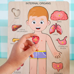 APLI Kids Human Body Puzzle Kit – 5 Giant 48-Piece Puzzles + 15 Tokens, Educational Learning For Ages 5+ - View #7