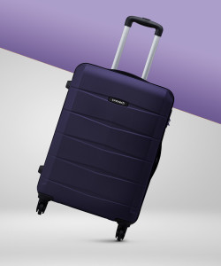 cat luggage tsa