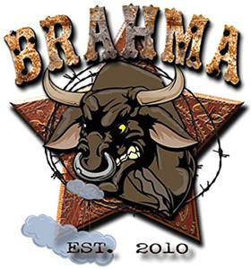 Liftinglarge Titan Brahma 13Mm Single Prong Powerlifting Belt Ipf