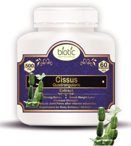 biotic Cissus quadrangularis Extract (Hadjod) 500mg - 60 Capsules Price ...