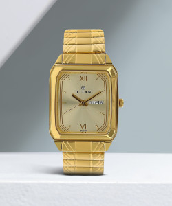 Titan gold color sale watches
