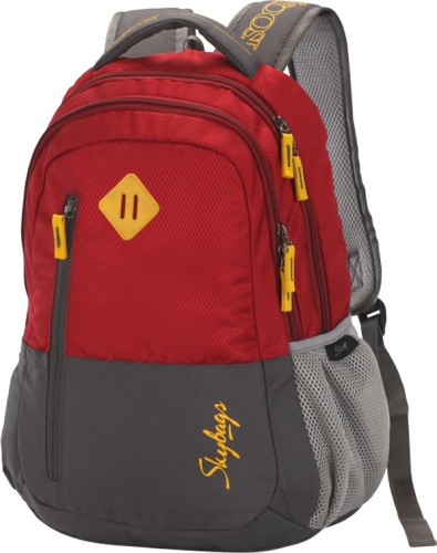 skybags backpacks for men